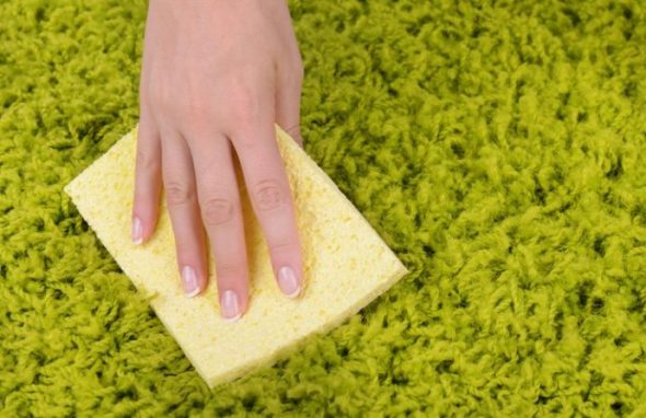 nettoyage de tapis à l'acide citrique