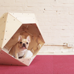 plywood hushund