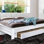 Trends lade bed