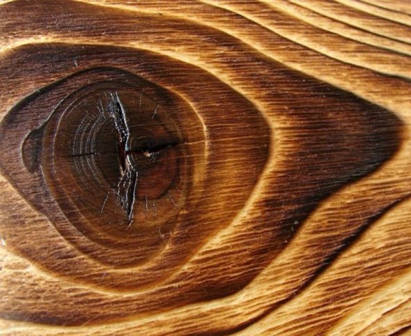 Vzorek dřeva