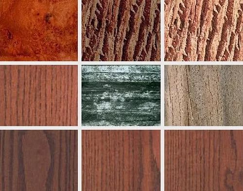 Trä av olika arter