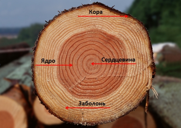 Fa tulajdonságai
