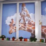 Due giraffe sulle tende della scuola materna