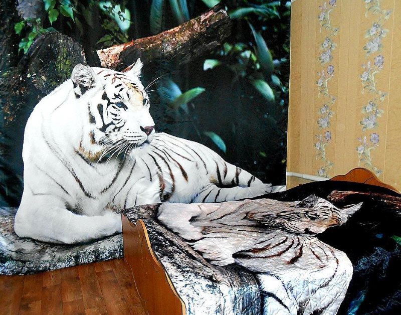 Witte tijger op een 3D-gordijn in het interieur van een echte slaapkamer