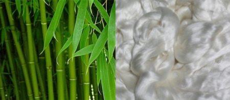 Bamboe en bamboevezel