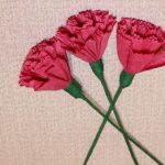 Carnations DIY