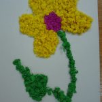 נייר מפית פרחים אפשרויות צילום