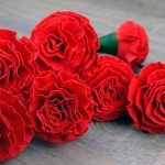 carnations dari dekorasi serbet