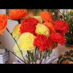 carnations dari pilihan foto pergelangan tangan