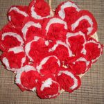 carnations dari idea-idea foto tuala