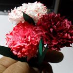 Carnations dari tuala wanita itu sendiri direkabentuk