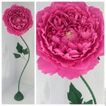 Carnations dari tuala wanita lakukan sendiri foto