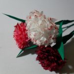 Carnations dari tuala wanita lakukan sendiri pilihan idea