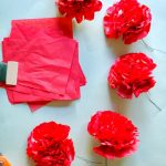 carnations dari tuala do-it-yourself