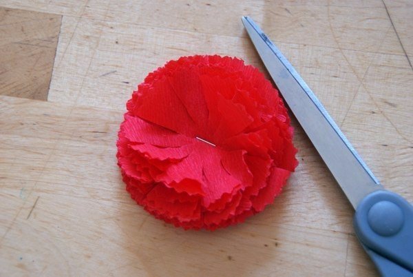 Carnations dari tuala wanita sendiri merancang idea