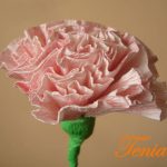 carnations daripada pilihan tuala sendiri