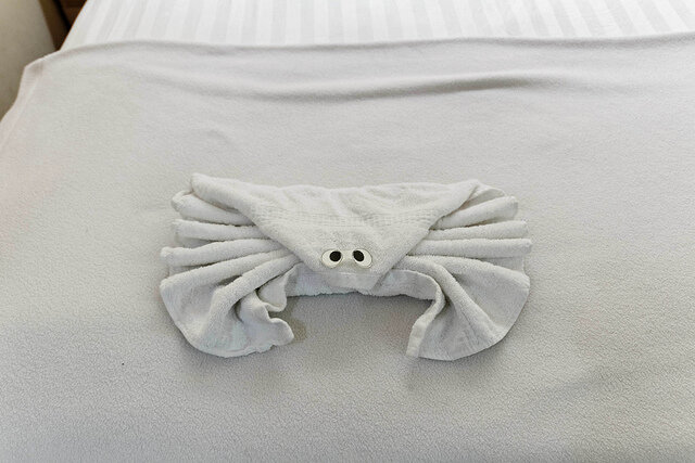 handdoek krab
