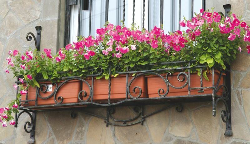 balkong för blommor på fönstret