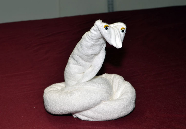 asciugamano serpente