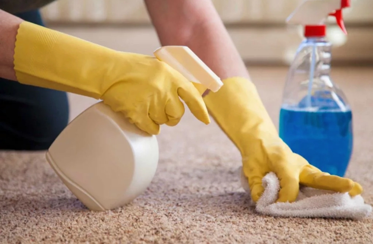 comment enlever les taches d'urine sur le tapis