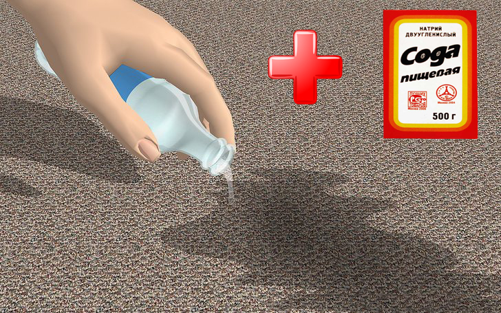 comment se débarrasser de l'odeur d'urine de chat sur un tapis de soda
