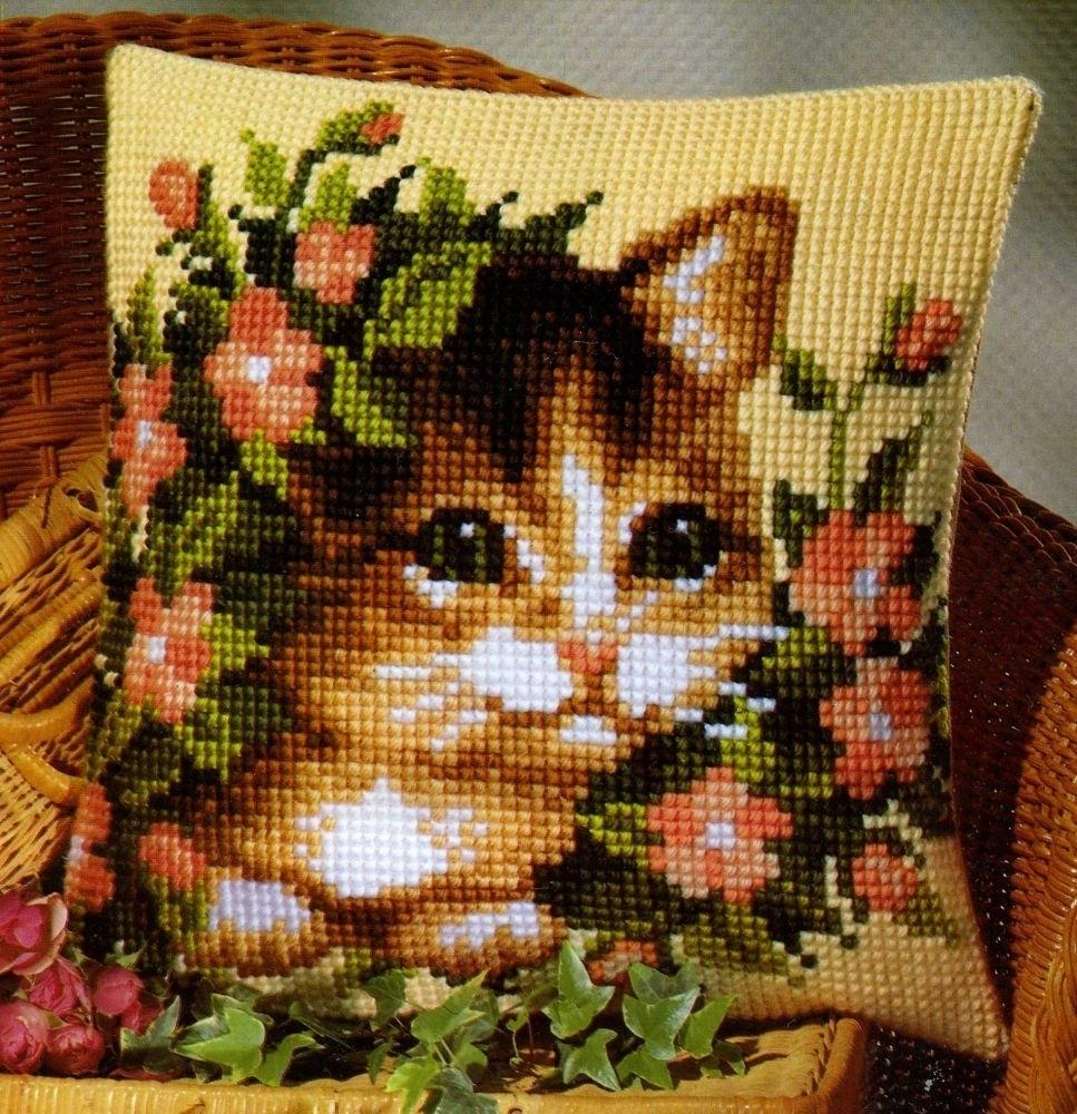 cuscino del gattino a colori