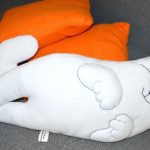 Il cuscino per gatti di Simon